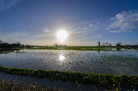 Torrential Rains Cause Flooding In Northern France