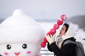 Xinhua Headlines: Harbin extravaganza boosts China's ice-and-snow economy