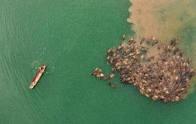 XINHUA-PICTURES OF THE YEAR 2023-AERIAL PHOTO