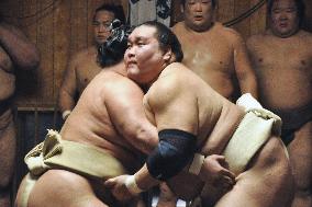 Sumo: New Year tournament