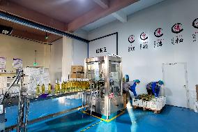 A Fruit Wine Factory in Qingdao