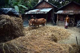 Daily Life In India