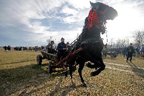 ROMANIA-PIETROSANI-EPIPHANY HORSE RACE