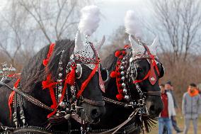 ROMANIA-PIETROSANI-EPIPHANY HORSE RACE