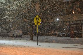 New York Metropolitan Area's First Snowfall Of 2024