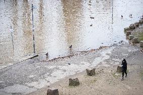 GERMANY-FRANKFURT-FLOODS