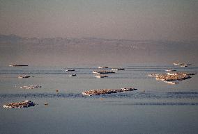 Iran-Dried Lake Of Urmia