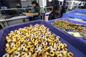 An Electronics Factory in Zixing