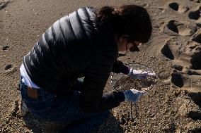 Pellet Cleaning Continues In Galician Sandbanks