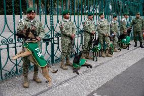 Ceremony of the Mexican Army Rescue Dog - Mexico