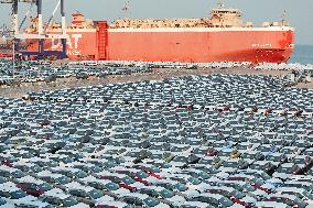 2023 China Automobile Export Ranks First in The World