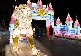 Lights & Dreams. Secrets of Lanterns Festival in Kyiv