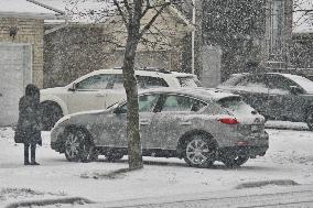 Toronto Gets Hit By Winter Snowstorm