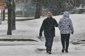 Toronto Gets Hit By Winter Snowstorm