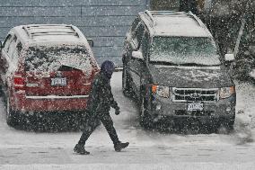 Toronto Gets Hit By Winter Snowstorm