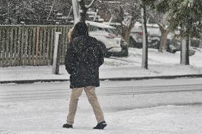 Toronto Gets Hit By Winter Snowstorm