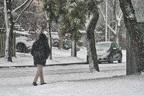 Toronto Gets Hit By Winter Snowstorm