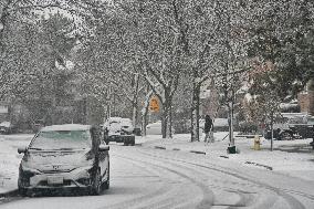 Toronto Gets Hit By Winter Snowstorm