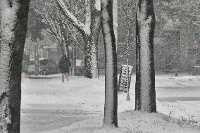 Toronto Gets Hit By Winter Snowstorm