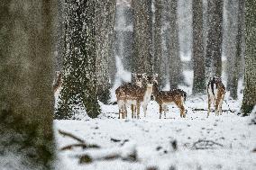 XINHUA PHOTOS OF THE DAY