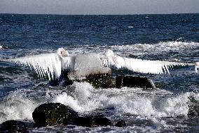 Black Sea coast in Odesa in winter