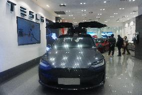 China New Energy Vehicle Industry