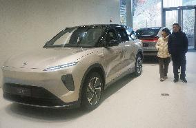 China New Energy Vehicle Industry