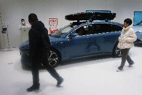 China New Energy Vehicle Industry