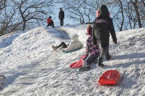 Sledding in Odesa