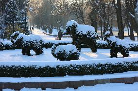 Winter in Ivano-Frankivsk