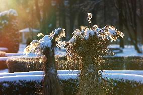 Winter in Ivano-Frankivsk