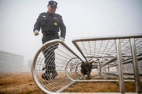 CHINA-HUBEI-HUANGSHI-POLICE DOG-TRAINING (CN)