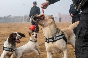 CHINA-HUBEI-HUANGSHI-POLICE DOG-TRAINING (CN)