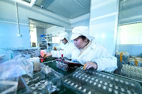 A Semiconductor Production Workshop in Gao 'an