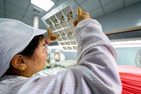 A Semiconductor Production Workshop in Gao 'an