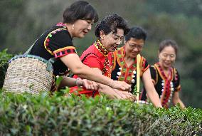 CHINA-HAINAN-EARLY SPRING TEA (CN)