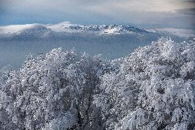 Vosges Massif Under The Snow In Winter - France
