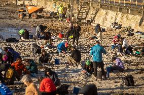 Volunteers Clean Pellets On Panxon Beach - Spain