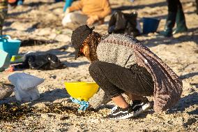 Volunteers Clean Pellets On Panxon Beach - Spain