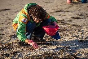 Volunteers Clean Pellets On Panxon Beach - Spain