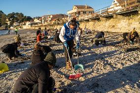 Volunteers Clean Pellets On Panxon Beach - Spain