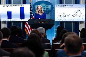 White House press briefing - Washington