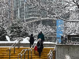 Snow Flurries In Toronto, Canada