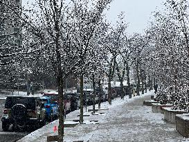 Snow Flurries In Toronto, Canada