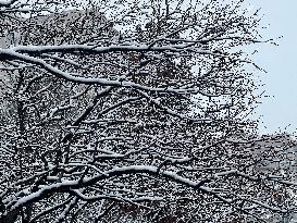 Snow Flurries In Toronto, Canada