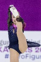 European Figure Skating Championsips