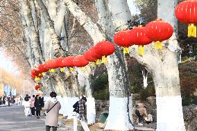 A Red Lantern Belt in Nanjing