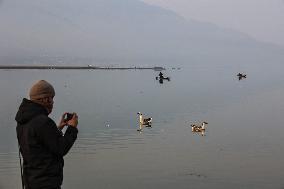 Water Level Decreases In Asias Largest Fresh Water Lake, Wular Lake