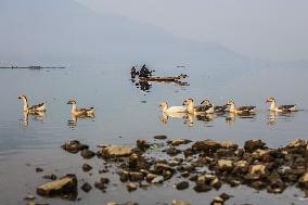 Water Level Decreases In Asias Largest Fresh Water Lake, Wular Lake