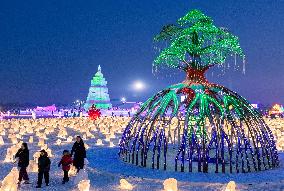 3rd Joy Ice and Snow Festival in Hohhot